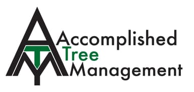 Accomplished Tree