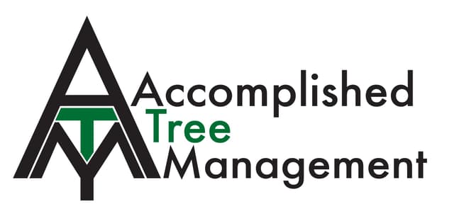 Accomplished Tree